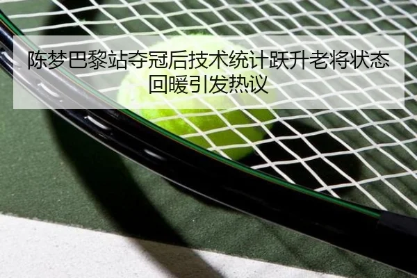 陈梦巴黎站夺冠后技术统计跃升老将状态回暖引发热议