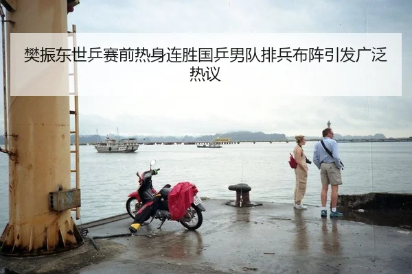 樊振东世乒赛前热身连胜国乒男队排兵布阵引发广泛热议